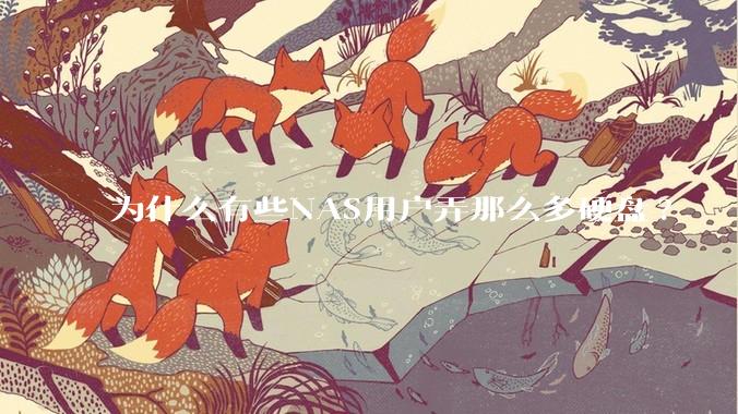 为什么有些NAS用户弄那么多硬盘?