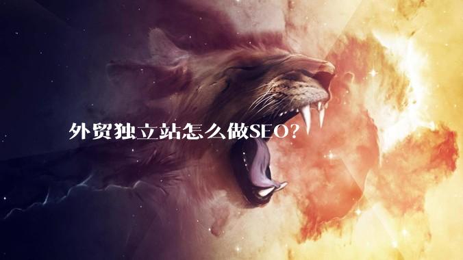 外贸独立站怎么做SEO？