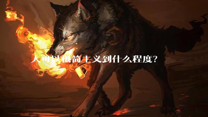 人可以极简主义到什么程度？