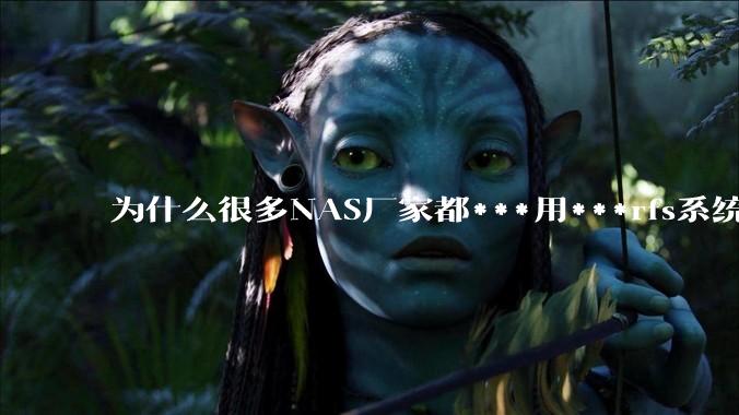 为什么很多NAS厂家都***用***rfs系统，而不是更稳定的zfs?