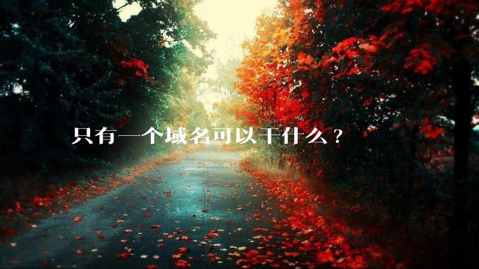 只有一个域名可以干什么?